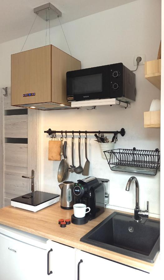Minisowa Apartment Jedlina-Zdroj Ngoại thất bức ảnh