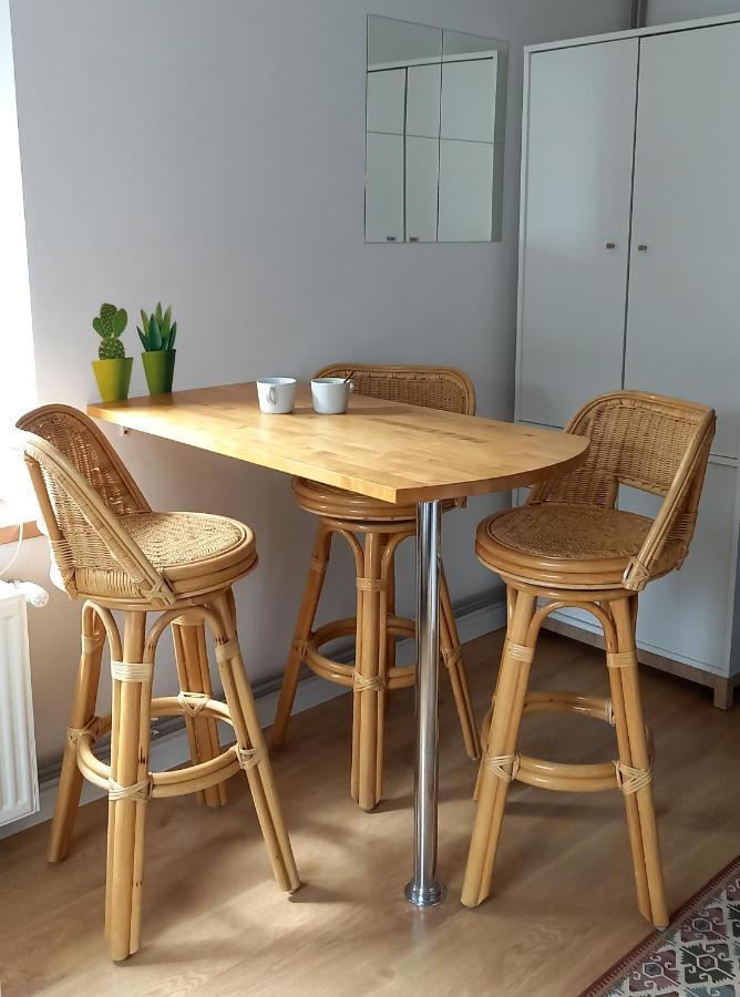Minisowa Apartment Jedlina-Zdroj Ngoại thất bức ảnh