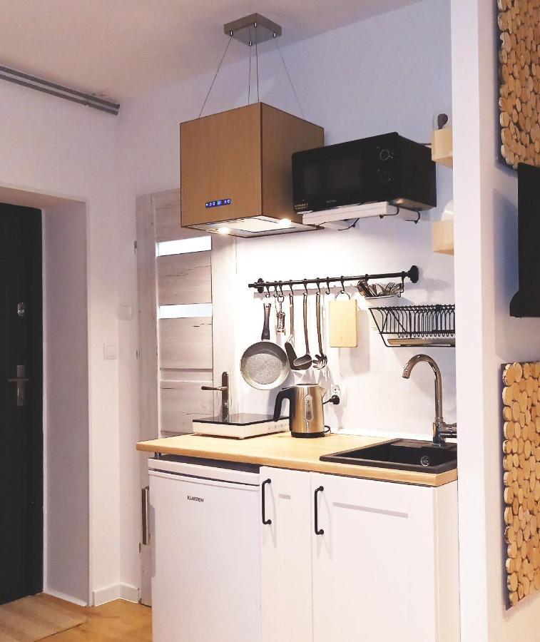 Minisowa Apartment Jedlina-Zdroj Ngoại thất bức ảnh