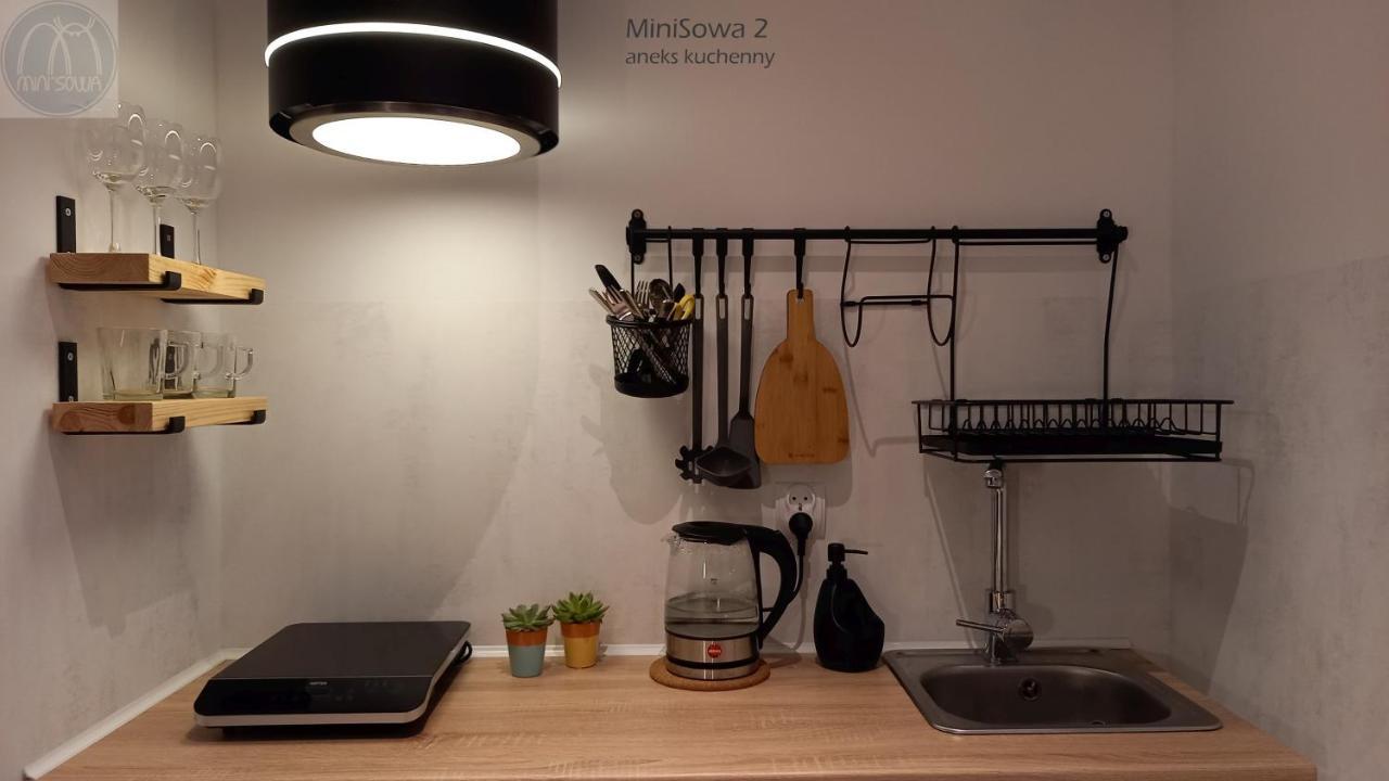 Minisowa Apartment Jedlina-Zdroj Ngoại thất bức ảnh