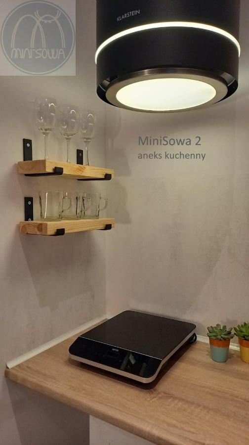 Minisowa Apartment Jedlina-Zdroj Ngoại thất bức ảnh