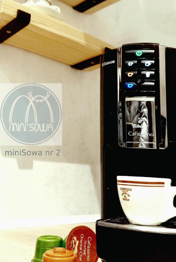 Minisowa Apartment Jedlina-Zdroj Ngoại thất bức ảnh