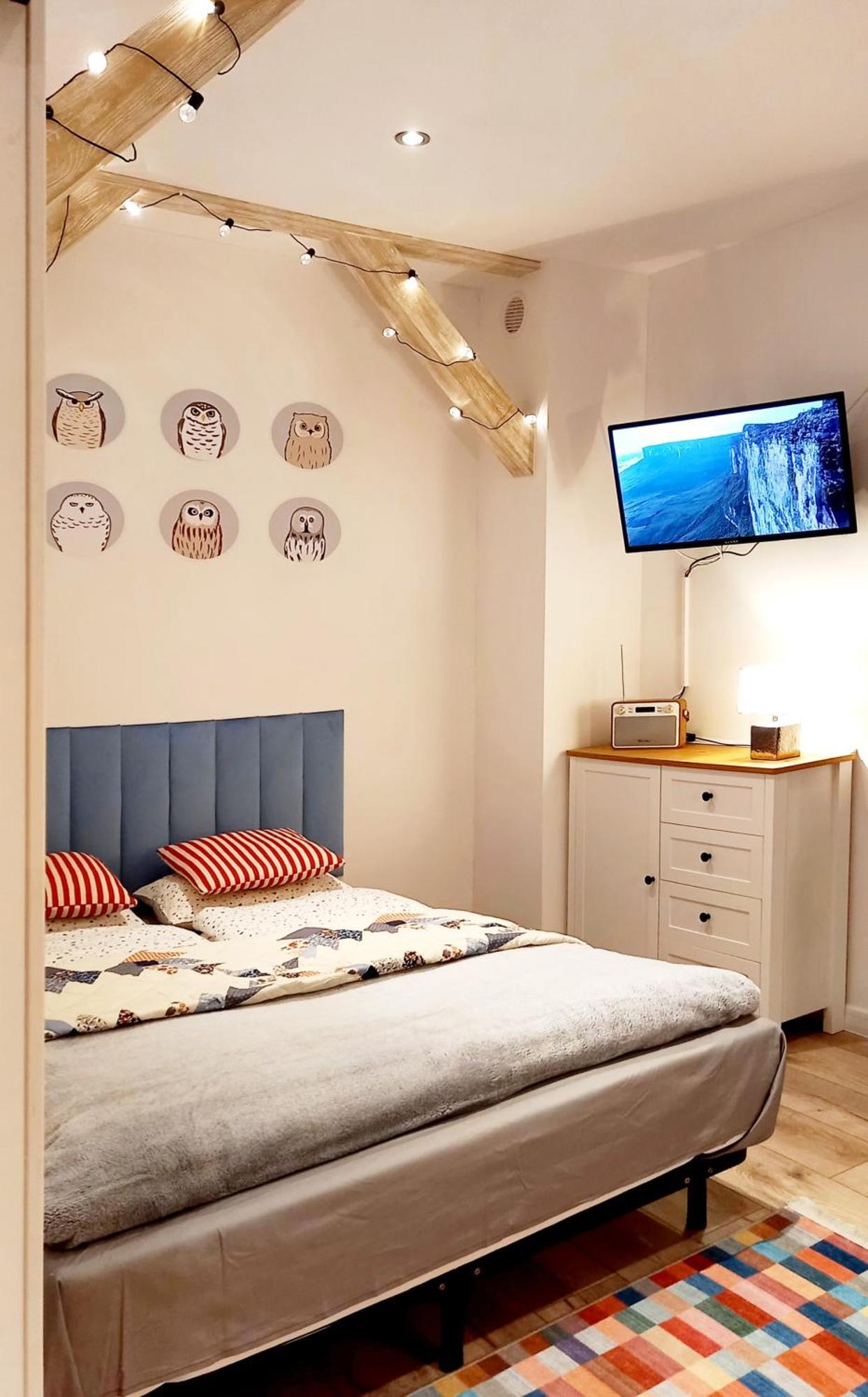 Minisowa Apartment Jedlina-Zdroj Ngoại thất bức ảnh